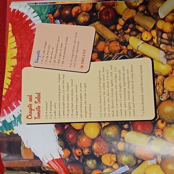 Retro Fiesta 'A Gringo's Guide to Mexican Party Planning' book Geraldine Duncan - Picture 9 of 16